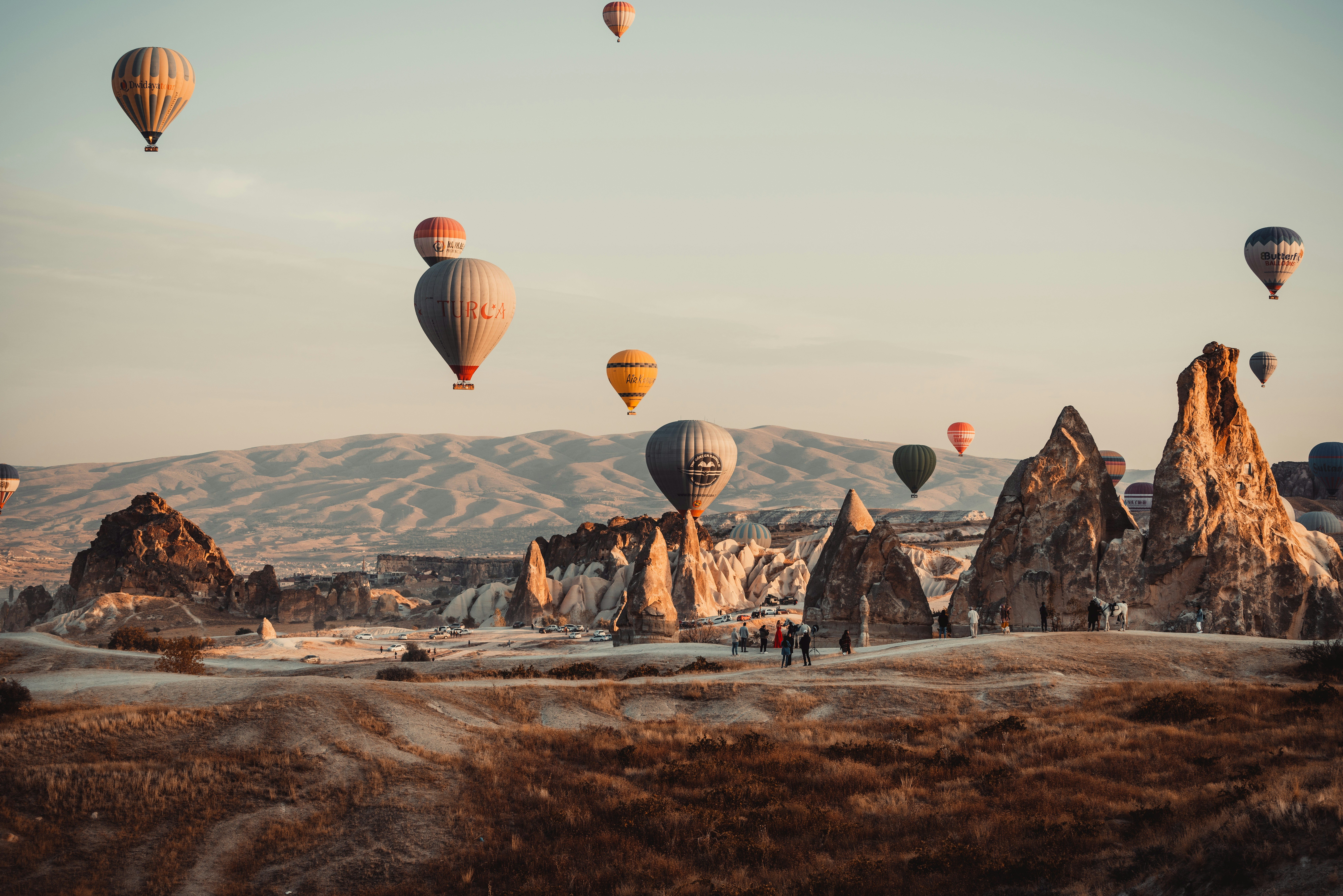 Hot air balloons over landscape