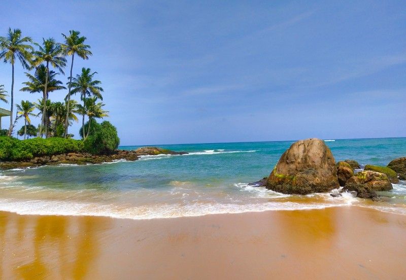 Tropical beach with palm trees